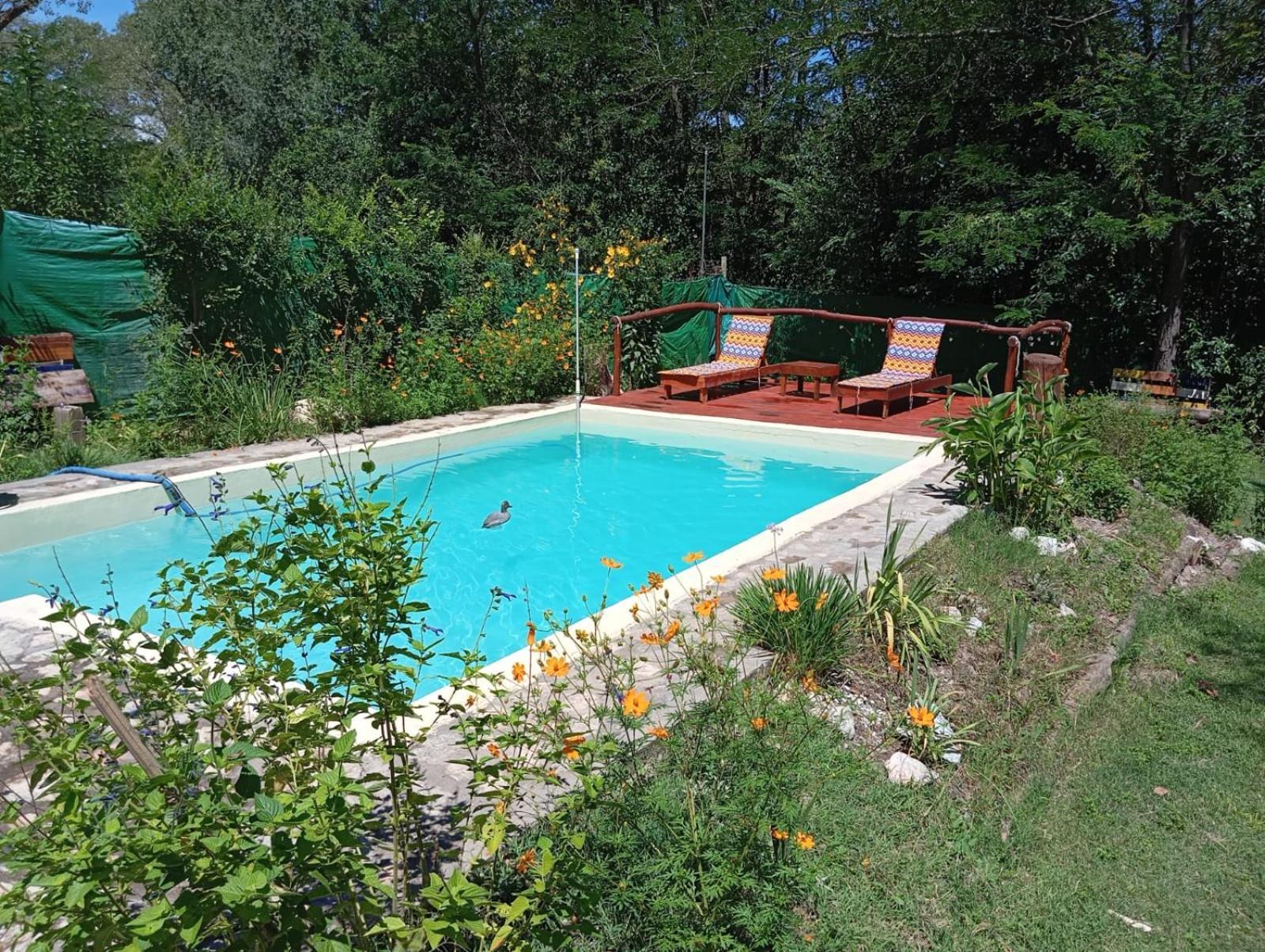 Villa La Isolina 吉亚迪诺镇 外观 照片